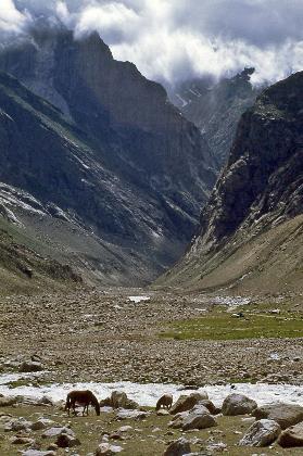D:\DataFoto\Dia's - Reizen\1995-07-16 Ladakh\03 Naar Kaza\Best Of\Ldak0144y.jpg