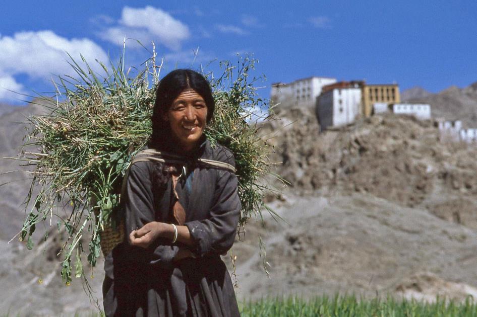 D:\DataFoto\Dia's - Reizen\1995-07-16 Ladakh\08 Kloosters Ladakh\Best Of\Ldak0448y.jpg