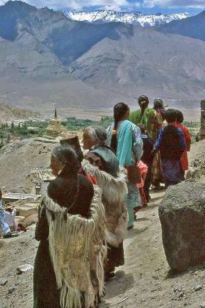 D:\DataFoto\Dia's - Reizen\1995-07-16 Ladakh\07 Phyang\Best Of\Ldak0616y.jpg