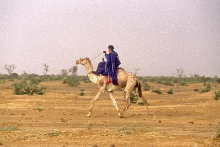 D:\DataFoto\Dia's - Reizen\1998-04-04 Mali - Burkina Faso\08 Naar Dogonland\Best Of\MaBu1254y.jpg