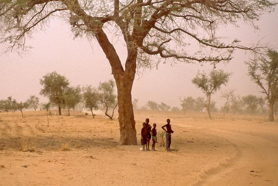 D:\DataFoto\Dia's - Reizen\1998-04-04 Mali - Burkina Faso\08 Naar Dogonland\Best Of\MaBu1261y.jpg