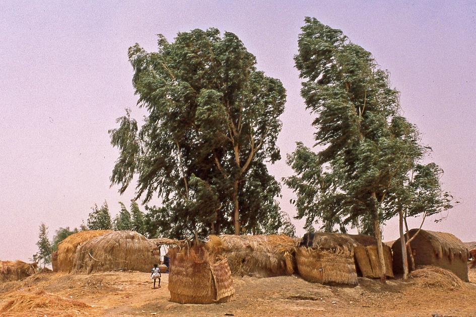D:\DataFoto\Dia's - Reizen\1998-04-04 Mali - Burkina Faso (herschikt)\11 Op de Niger – Dag 1\Best Of\MaBu1418y.jpg