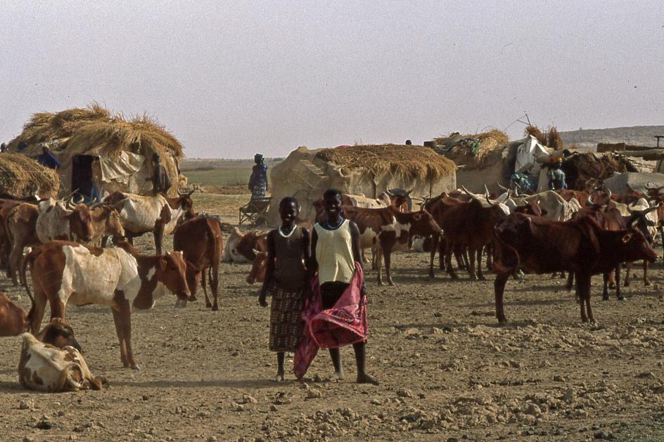 D:\DataFoto\Dia's - Reizen\1998-04-04 Mali - Burkina Faso (herschikt)\12 Op de Niger – Dag 2\Best Of\MaBu1459y.jpg