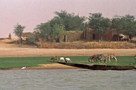 D:\DataFoto\Dia's - Reizen\1998-04-04 Mali - Burkina Faso (herschikt)\13 Op de Niger – Dag 3\Best Of\MaBu1477y.jpg
