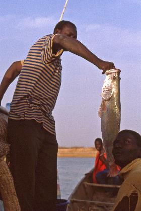 D:\DataFoto\Dia's - Reizen\1998-04-04 Mali - Burkina Faso (herschikt)\12 Op de Niger – Dag 2\Best Of\MaBu1448y.jpg
