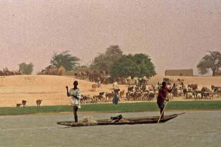 D:\DataFoto\Dia's - Reizen\1998-04-04 Mali - Burkina Faso (herschikt)\13 Op de Niger – Dag 3\Best Of\MaBu1487y.jpg