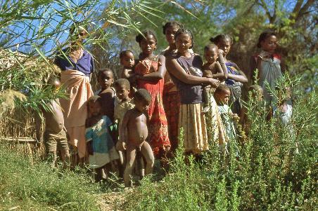 D:\DataFoto\Dia's - Reizen\2001-07-18 Madagaskar\13 Begidro\Best Of\Mada0438y.jpg