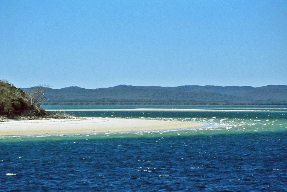D:\DataFoto\Dia's - Reizen\2004-07-14 Australie\20 Fraser Island\Best Of\Aust0556y.jpg