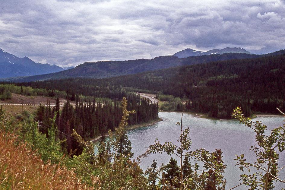 D:\DataFoto\Dia's - Reizen\2005-07-14 BC - Yukon - Alaska\07 Klondike Highway\Best Of\Alas1146y.jpg
