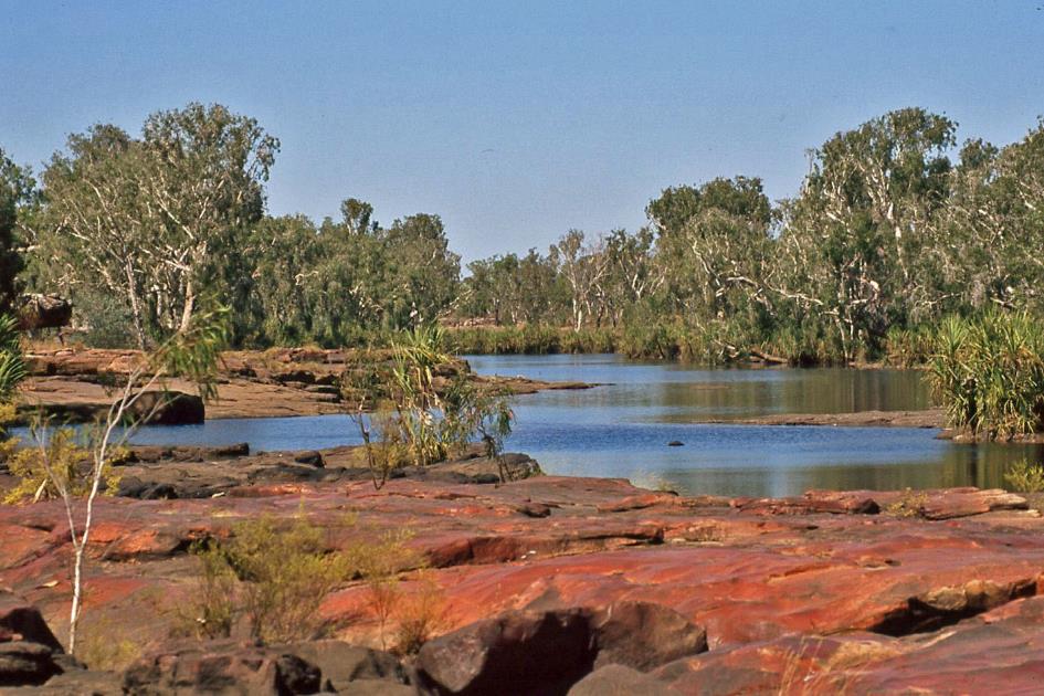 D:\DataFoto\Dia's - Reizen\2008-07-10 West-Australie\51 King Edward River\Best Of\WAus0747y.jpg