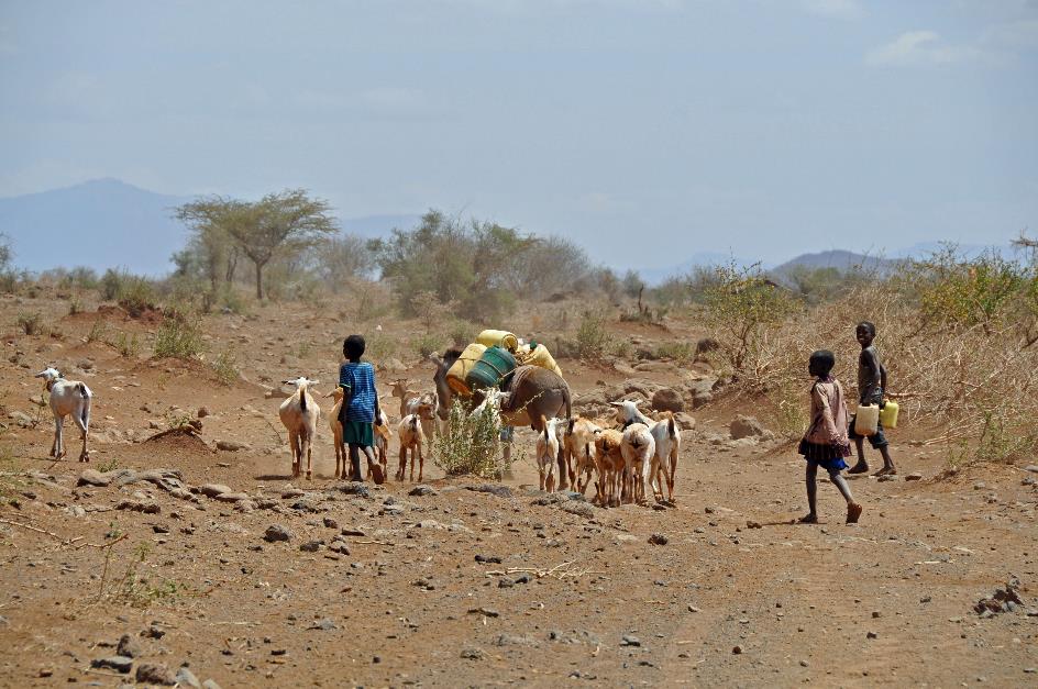 D:\DataFoto\Foto's - Reizen\2009-07-10 Kenia - Tanzania\01 Samburu\Best Of\KETA0026y.jpg