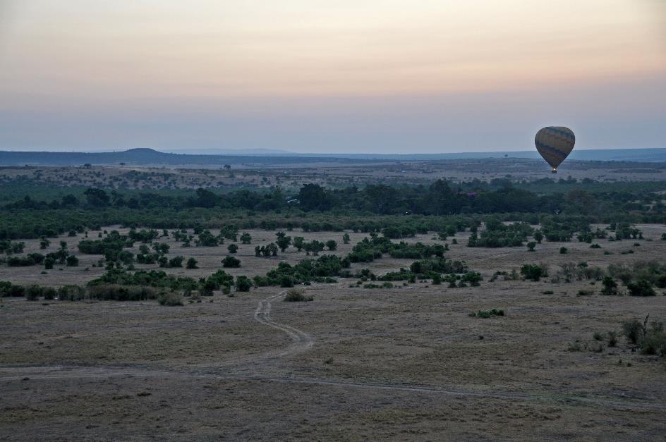 D:\DataFoto\Foto's - Reizen\2009-07-10 Kenia - Tanzania\04 MasaiMara\Best Of\KETA1116y.jpg