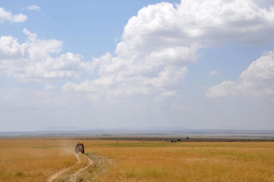 D:\DataFoto\Foto's - Reizen\2009-07-10 Kenia - Tanzania\04 MasaiMara\Best Of\KETA1366y.jpg