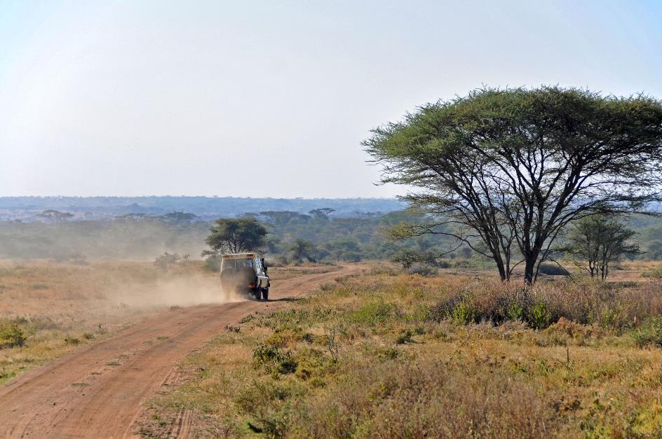 D:\DataFoto\Foto's - Reizen\2009-07-10 Kenia - Tanzania\05 Serengeti\Best Of\KETA1786y.jpg