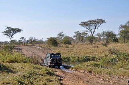 D:\DataFoto\Foto's - Reizen\2009-07-10 Kenia - Tanzania\05 Serengeti\Best Of\KETA2162y.jpg