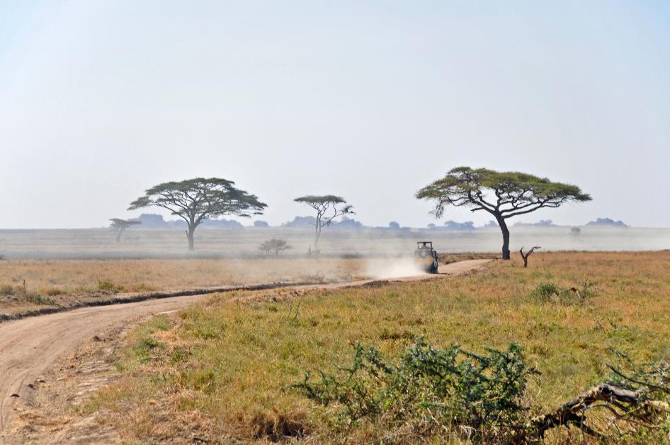 D:\DataFoto\Foto's - Reizen\2009-07-10 Kenia - Tanzania\05 Serengeti\Best Of\KETA2189y.jpg