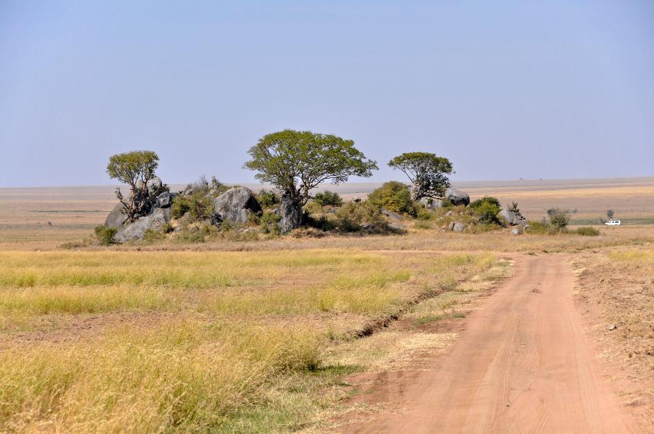 D:\DataFoto\Foto's - Reizen\2009-07-10 Kenia - Tanzania\05 Serengeti\Best Of\KETA2290y.jpg