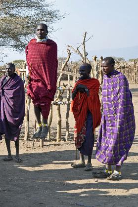 D:\DataFoto\Foto's - Reizen\2009-07-10 Kenia - Tanzania\06 Ngorongoro\Best Of\KETA2448s.jpg