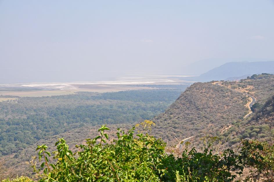 D:\DataFoto\Foto's - Reizen\2009-07-10 Kenia - Tanzania\07 LakeManyara\Best Of\KETA3088y.jpg