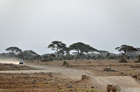 D:\DataFoto\Foto's - Reizen\2009-07-10 Kenia - Tanzania\08 Amboseli\Best Of\KETA3261y.jpg