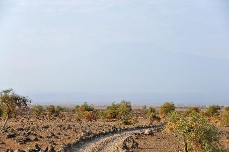 D:\DataFoto\Foto's - Reizen\2009-07-10 Kenia - Tanzania\08 Amboseli\Best Of\KETA3588y.jpg