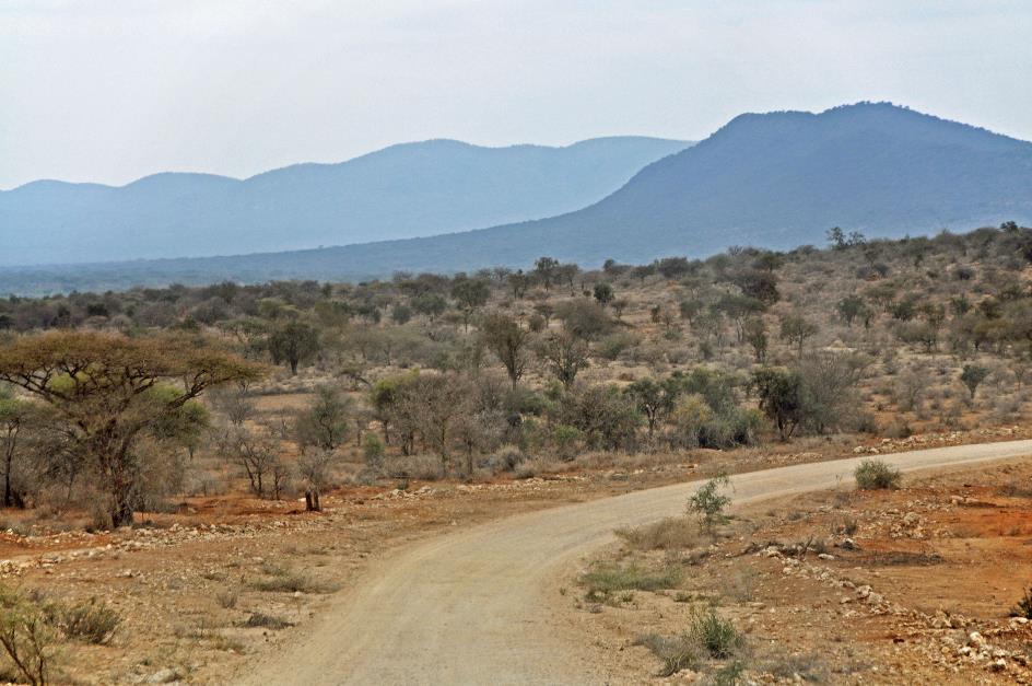 D:\DataFoto\Foto's - Reizen\2009-07-10 Kenia - Tanzania\08 Amboseli\Best Of\KETA3171y.jpg