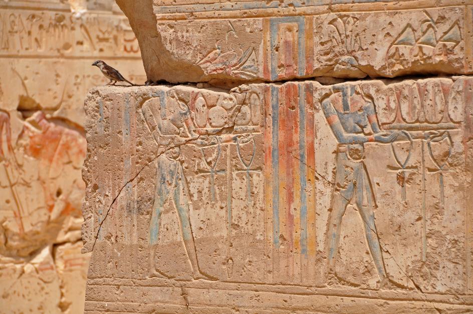 D:\DataFoto\Foto's - Reizen\2010-04-04 Egypte (herschikt)\13 Abydos\Best Of (herschikt 2)\61 Ramses II\EGYP1410y.jpg