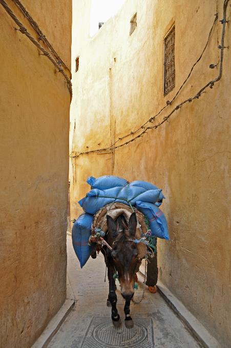 D:\DataFoto\Foto's - Reizen\2011-04-10 Marokko\15 Fez\Best Of\MROK1461y.jpg