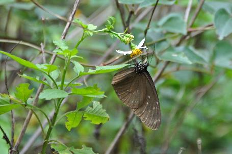 D:\DataFoto\Foto's - Reizen\2013-03-31 Taiwan (herschikt)\16 Lushui Trail\Best Of\TAIW1255y.jpg