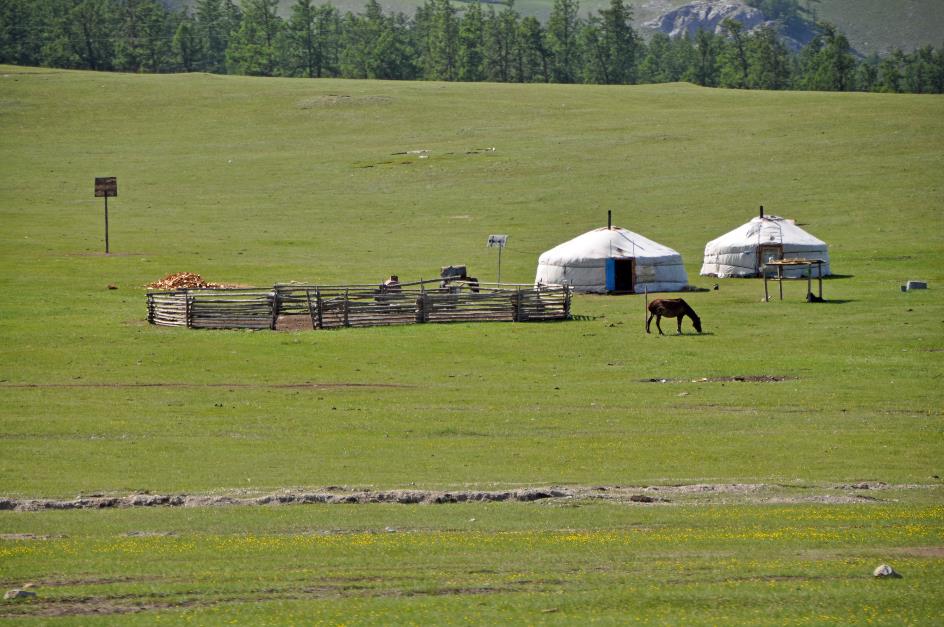 D:\DataFoto\Foto's - Reizen\2013-07-08 Mongolie\02 - Naar Khovsgol Nuur\MONG1014y.jpg