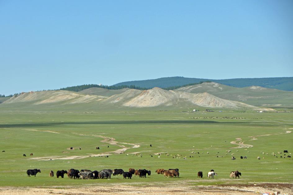 D:\DataFoto\Foto's - Reizen\2013-07-08 Mongolie\02 - Naar Khovsgol Nuur\MONG1010y.jpg