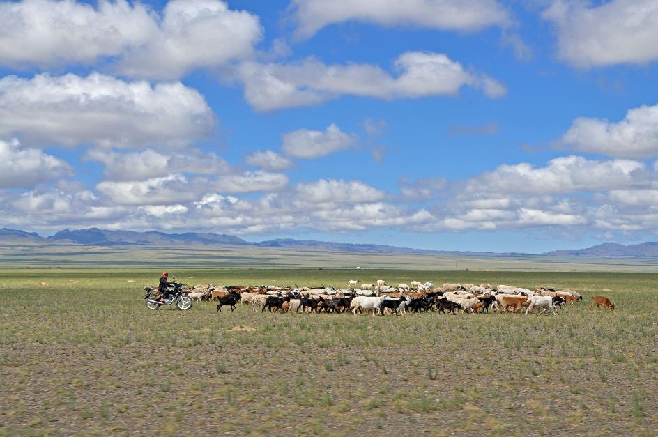 D:\DataFoto\Foto's - Reizen\2013-07-08 Mongolie\07 - Gobi 1\MONG1608y.jpg