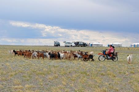 D:\DataFoto\Foto's - Reizen\2013-07-08 Mongolie\07 - Gobi 1\MONG1733y.jpg