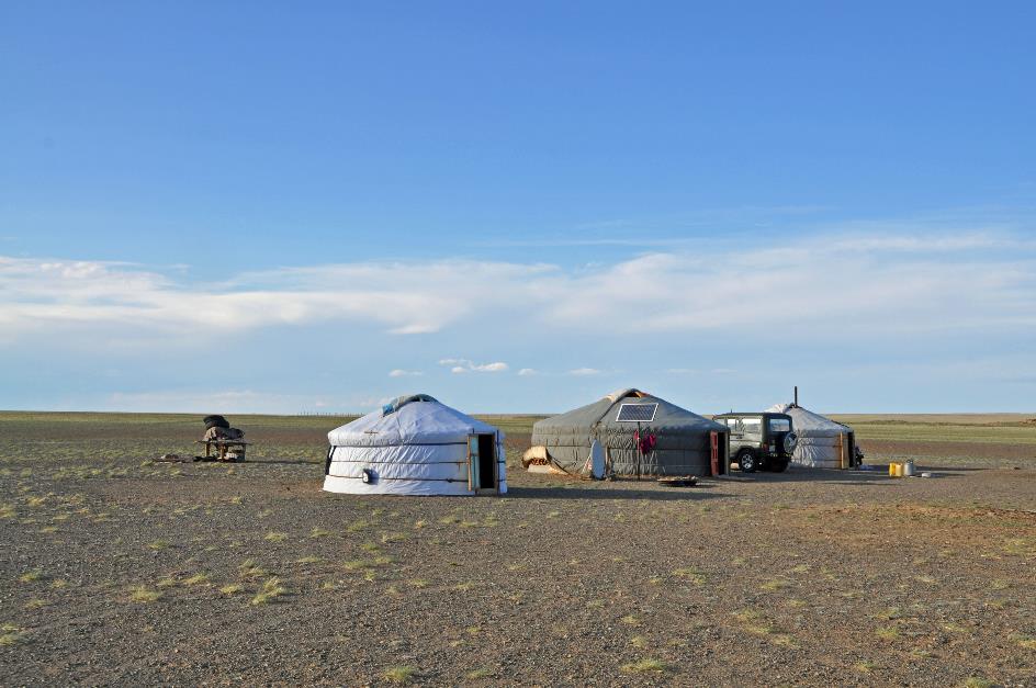 D:\DataFoto\Foto's - Reizen\2013-07-08 Mongolie\09 - Kamelenkweker\MONG1840y.jpg