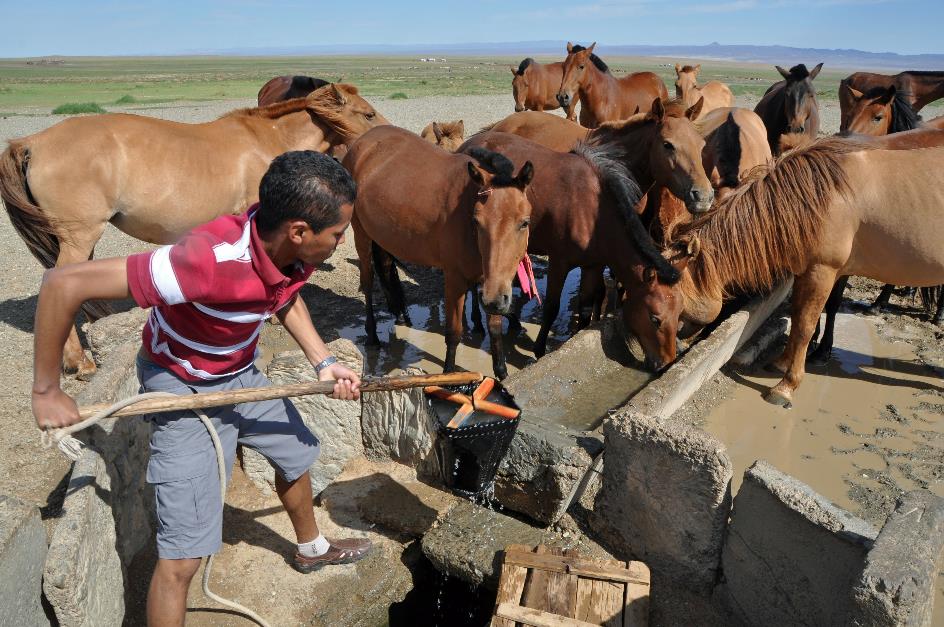 D:\DataFoto\Foto's - Reizen\2013-07-08 Mongolie\10 - Gobi 2\MONG2011y.jpg