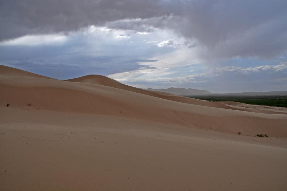 D:\DataFoto\Foto's - Reizen\2013-07-08 Mongolie\11 - Khongoryn Els\MONG2169y.jpg