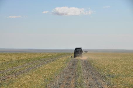 D:\DataFoto\Foto's - Reizen\2013-07-08 Mongolie\12 - Gobi 3\Werkmap\MONG2281x.jpg