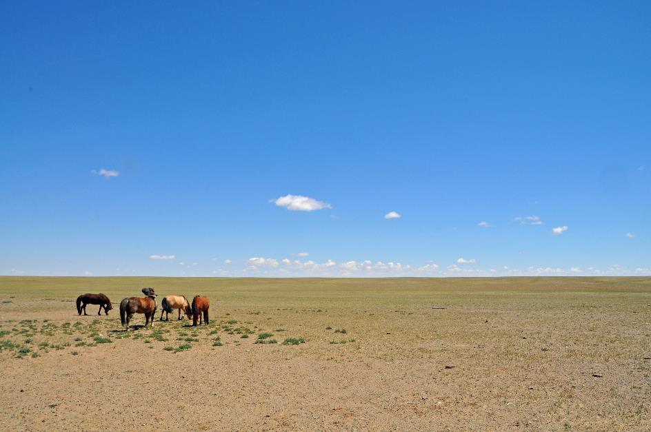 D:\DataFoto\Foto's - Reizen\2013-07-08 Mongolie\07 - Gobi 1\MONG1666y.jpg