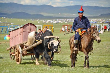 D:\DataFoto\Foto's - Reizen\2013-07-08 Mongolie\24 - 09 Naadam Paarden Start\MONG0738y.jpg