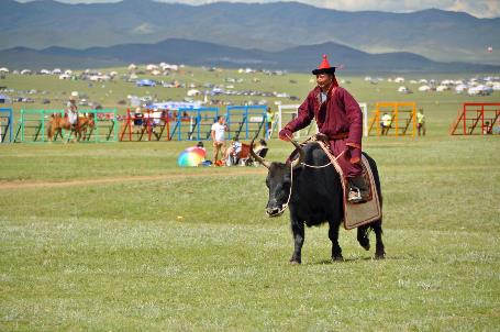 D:\DataFoto\Foto's - Reizen\2013-07-08 Mongolie\24 - 09 Naadam Paarden Start\MONG0735y.jpg