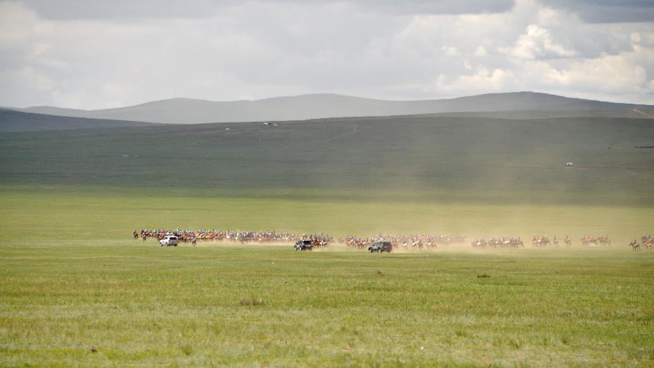 D:\DataFoto\Foto's - Reizen\2013-07-08 Mongolie\24 - 09 Naadam Paarden Start\MONG0744b.jpg