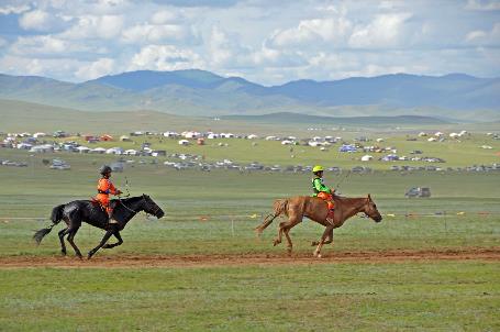 D:\DataFoto\Foto's - Reizen\2013-07-08 Mongolie\24 - 11 Naadam Paarden Finish\MONG0892y.jpg