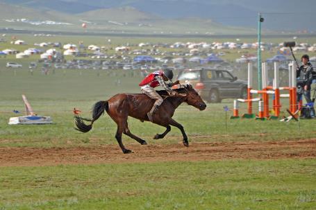 D:\DataFoto\Foto's - Reizen\2013-07-08 Mongolie\24 - 11 Naadam Paarden Finish\MONG0886y.jpg