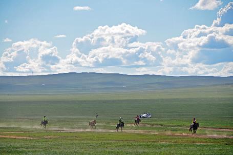 D:\DataFoto\Foto's - Reizen\2013-07-08 Mongolie\24 - 11 Naadam Paarden Finish\MONG0894y.jpg