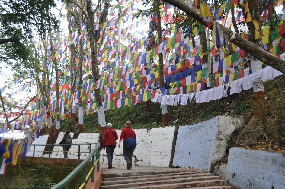 D:\DataFoto\Foto's - Reizen\2014-04-05 Darjeeling-Sikkim-Bhutan\01 Darjeeling\BHUT0341.JPG
