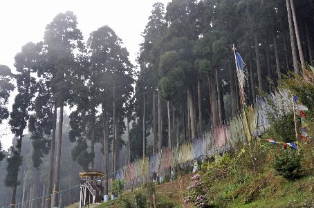 D:\DataFoto\Foto's - Reizen\2014-04-05 Darjeeling - Sikkim - Bhutan\02 Pelling\BHUT0461y.jpg