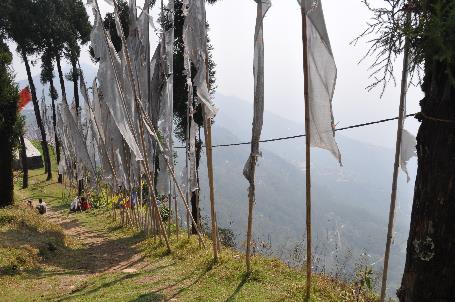 D:\DataFoto\Foto's - Reizen\2014-04-05 Darjeeling-Sikkim-Bhutan\02 Pelling\BHUT0663.JPG