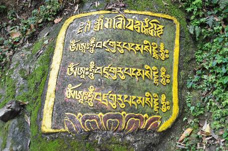 D:\DataFoto\Foto's - Reizen\2014-04-05 Darjeeling-Sikkim-Bhutan\02 Werkmap\BHUT0721.JPG