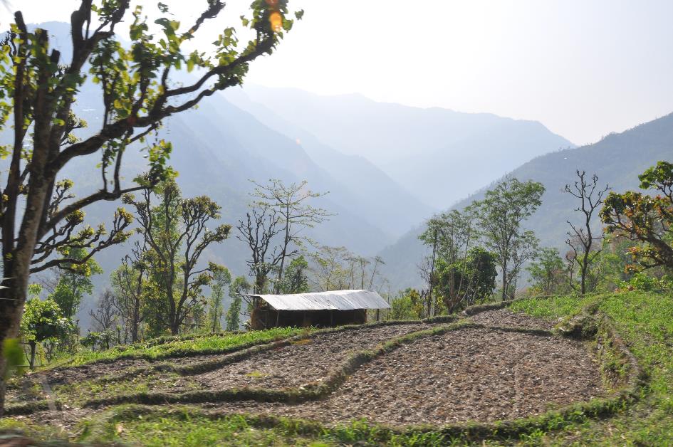 D:\DataFoto\Foto's - Reizen\2014-04-05 Darjeeling-Sikkim-Bhutan\03 Werkmap\BHUT0899x.jpg