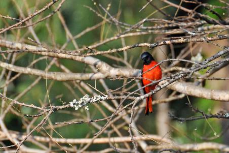 D:\DataFoto\Foto's - Reizen\2014-04-05 Darjeeling - Sikkim - Bhutan\09 Naar Bumthang\BHUT2052y.jpg